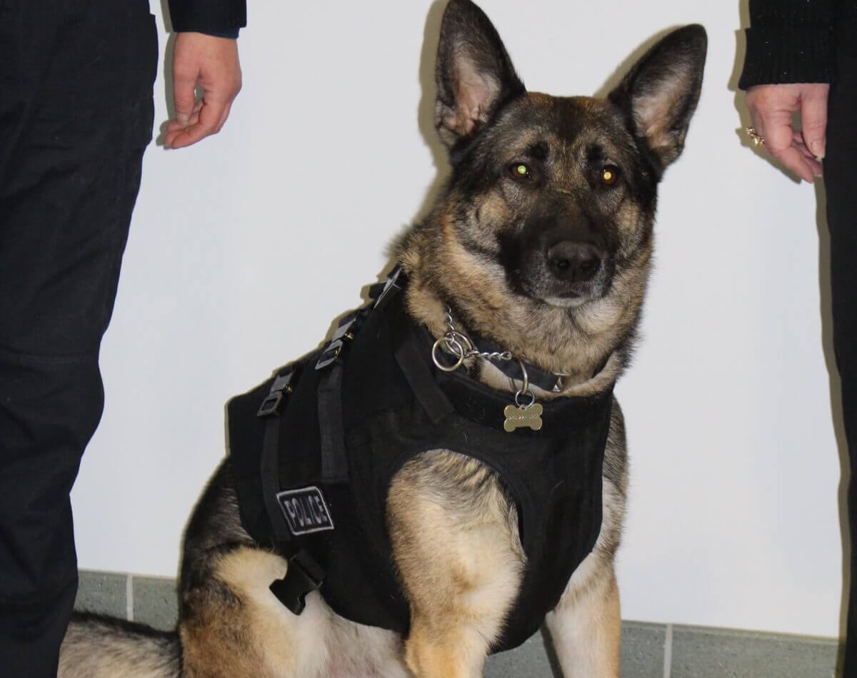 K9 Officer Photo