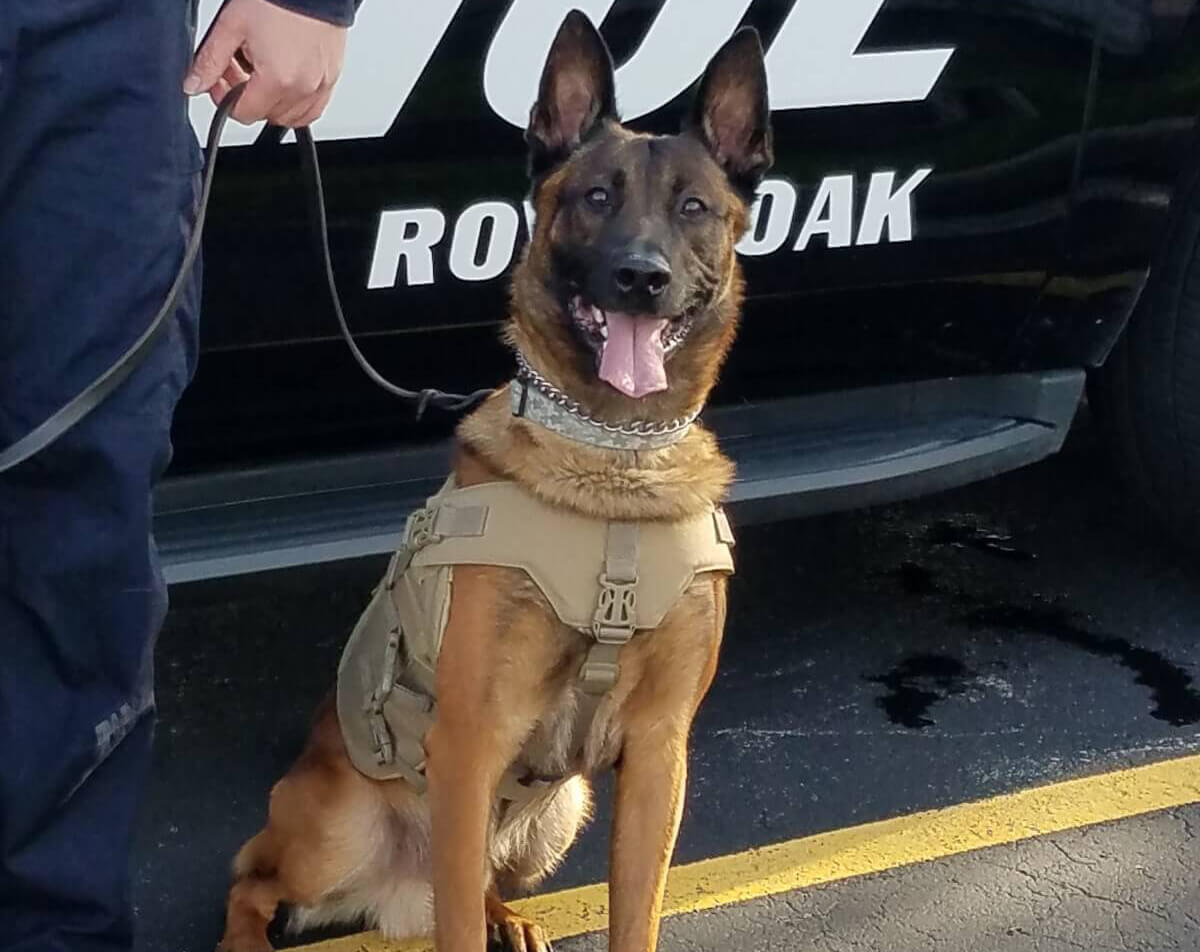 K9 Officer Photo