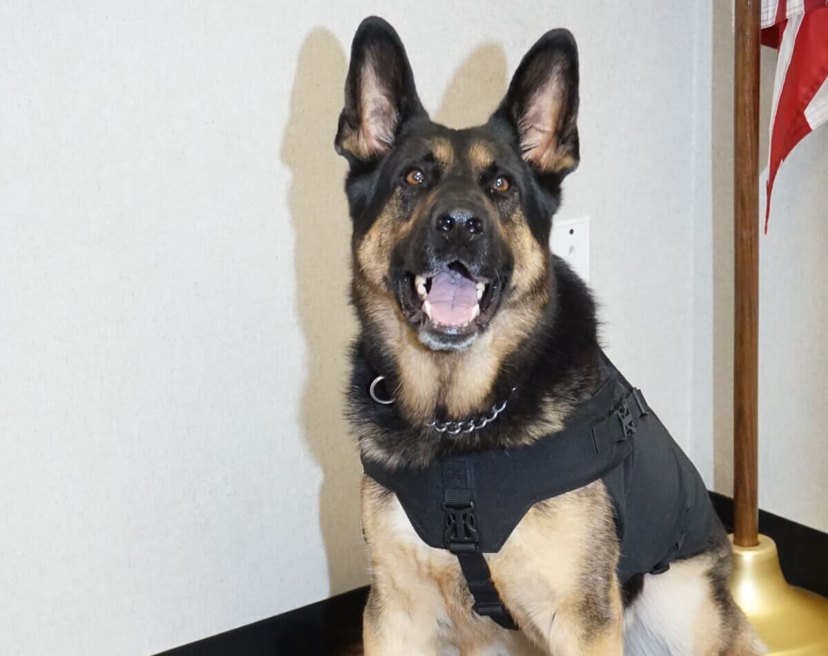 K9 Officer Photo